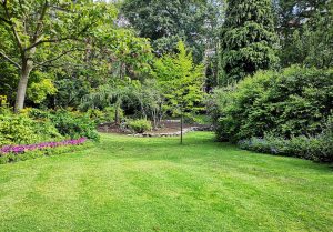Optimiser l'expérience du jardin à Quenoche